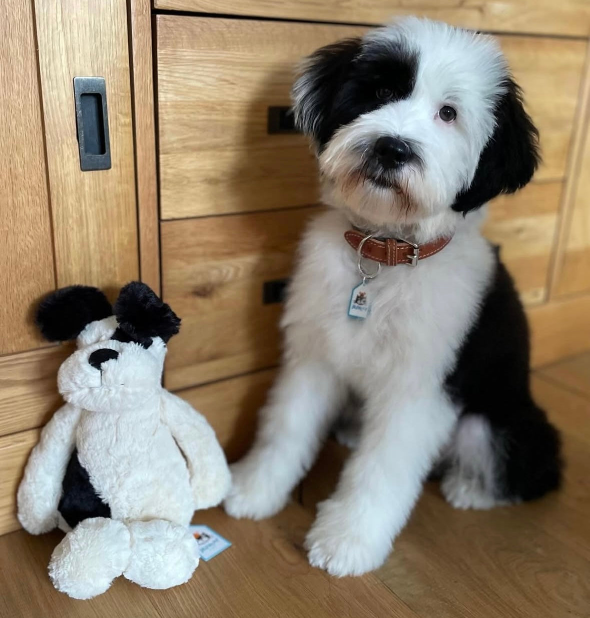 Personalised Pet Tag