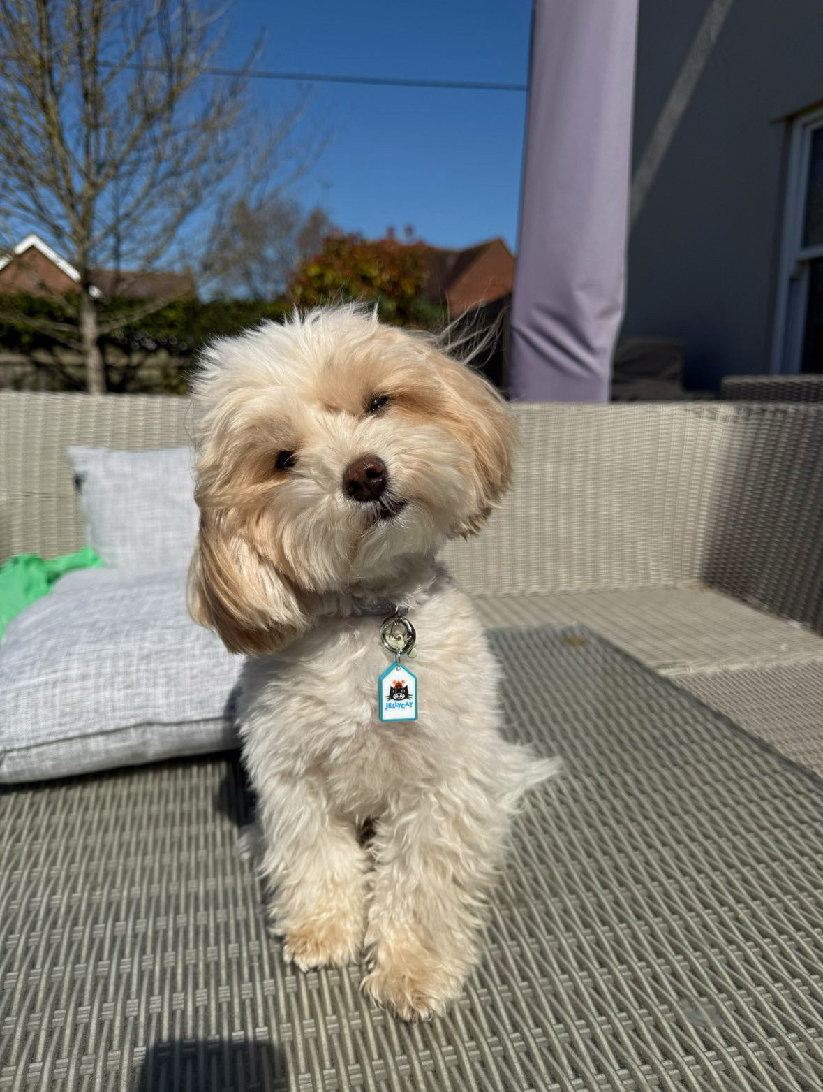 Personalised Pet Tag
