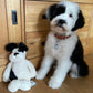 Personalised Pet Tag