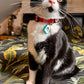 Personalised Pet Tag